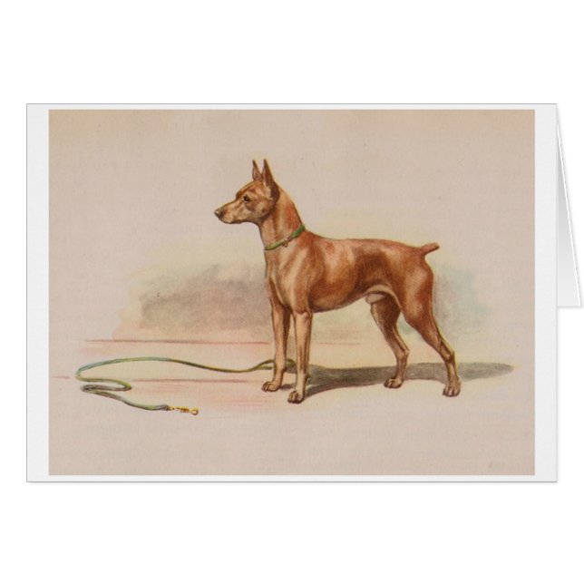 Oeuvre vintage - Chien Miniature Pinscher, (Devant horizontal)