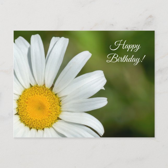 Offset Daisy Bonne Carte postale Anniversaire (Devant)