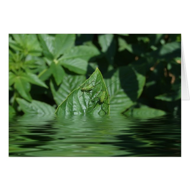 Oh ! (Devant horizontal)