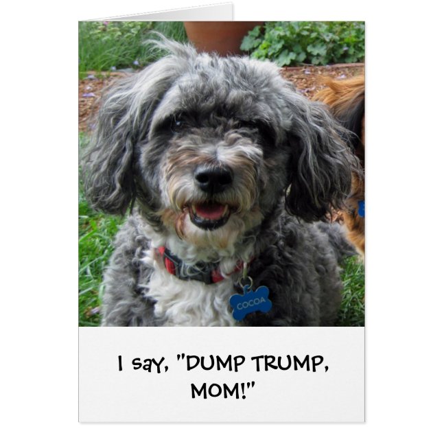 Oh cacao ! ! (Devant)