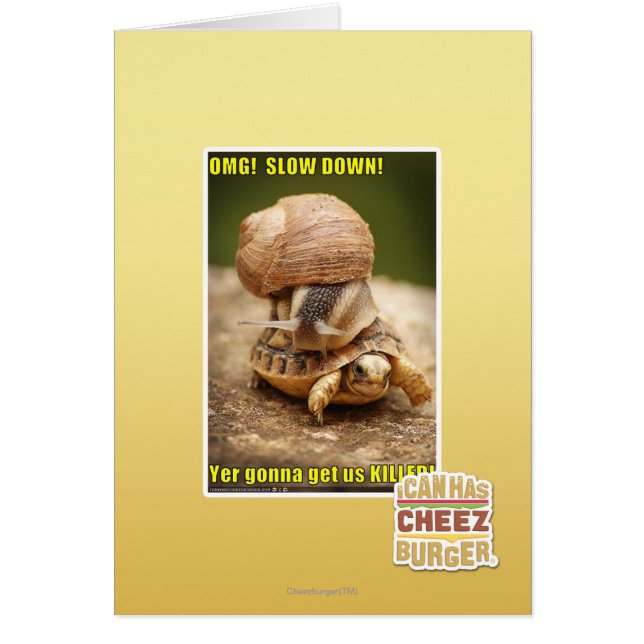 Oh mon Dieu ! Ralentissez ! (Devant)