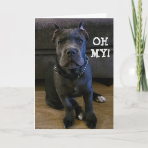 OH MON...VOUS TOURNEZ LA CARTE D'ANNIVERSAIRE "60"