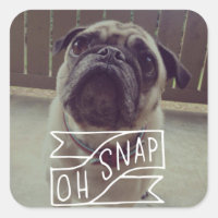 Oh, Snap ! Autocollant