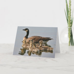 Oie avec la carte de voeux de poussins