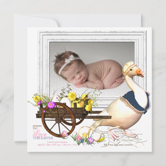 Oie avec le faire-part de naissance de photo (Devant)