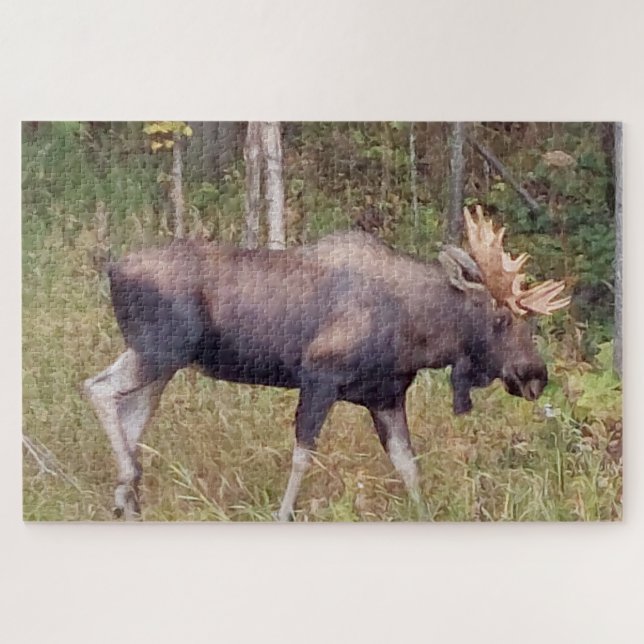 Oie d'Alaska avec Antlers Photo Conçu Puzzle (Horizontal)