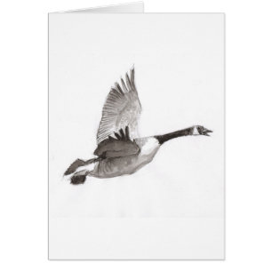 Oie dessinant en vol