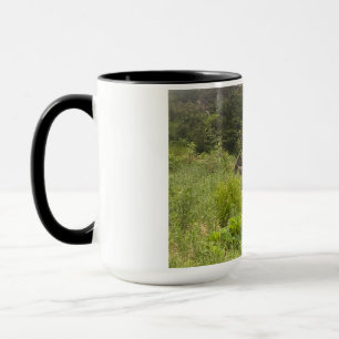 Oie se relaxer dans la nature - Mug photo de la fa