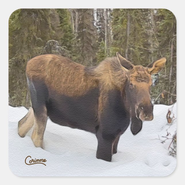 Oie - Stickers Enveloppe (Devant)