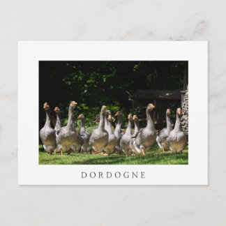 Oies dans la Dordogne carte postale texte blanc