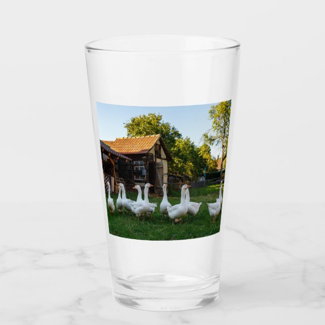 Oies Ferme Verre (Devant)