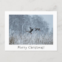 Oies-laitières en carte de noël de paysage enneigé