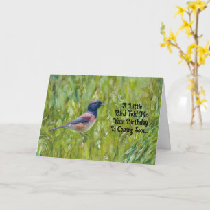 Oiseau Amateur mignon Bird Carte d'Anniversaire Am