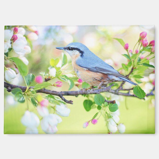 oiseau au printemps aimant (Recto)