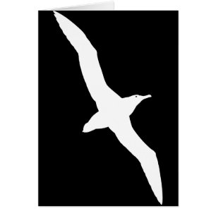 Oiseau blanc d'albatros en vol