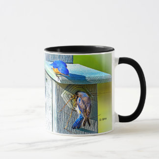 Oiseau bleu 020 nichant la tasse de classique de