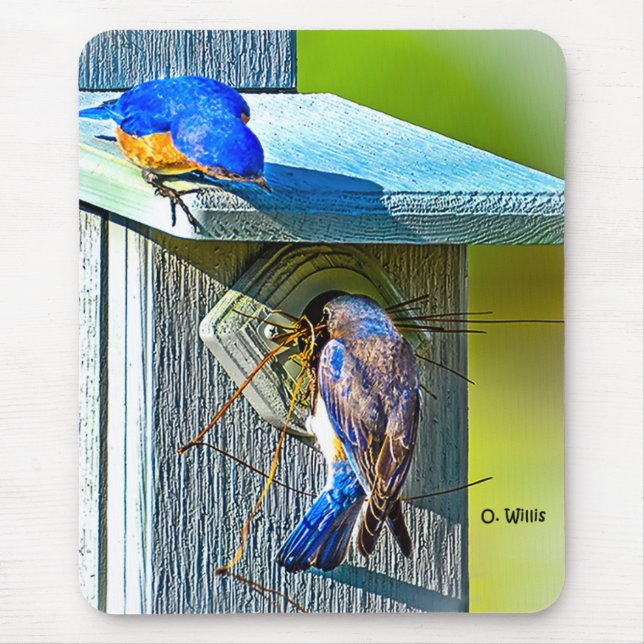 Oiseau bleu 020 nichant le tapis de souris (Devant)