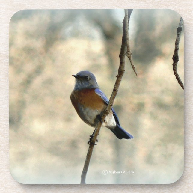 Oiseau bleu des dessous de verre de bonheur (Devant)