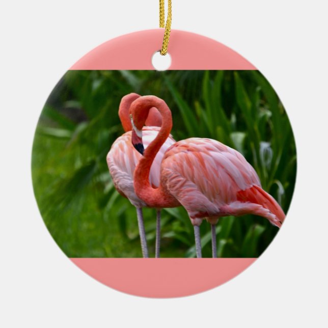 Oiseau d'Amérique Flamant rose ornement (Devant)