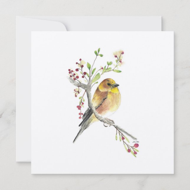 Oiseau d'aquarelle Goldfinch (Devant)