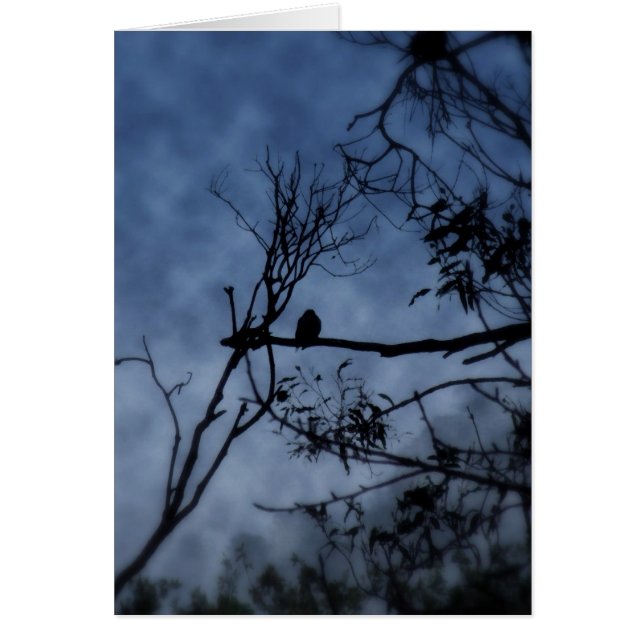 Oiseau de brouillard du matin sur la carte des bra (Devant)