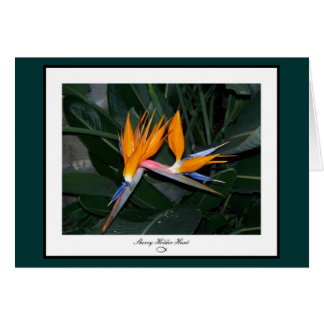 Oiseau de carte de paradis
