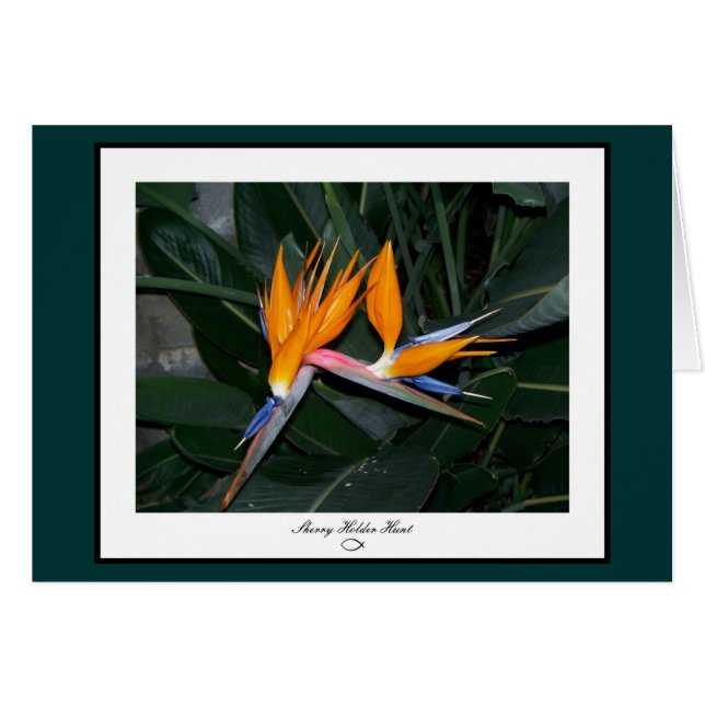 Oiseau de carte de paradis (Devant horizontal)