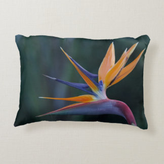 Oiseau de coussin d'accent de paradis