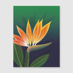 Oiseau de fleur de paradis