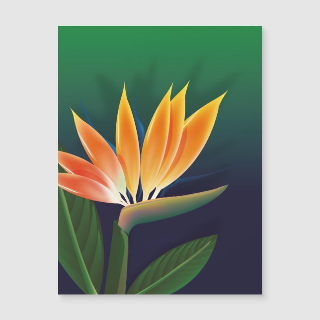Oiseau de fleur de paradis (Devant)