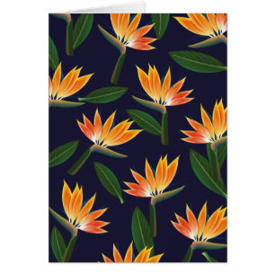 Oiseau de fleur de paradis