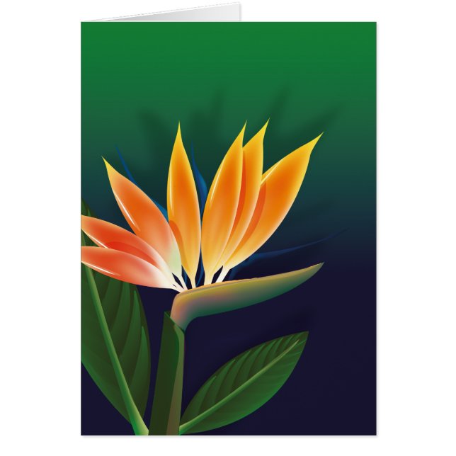 Oiseau de fleur de paradis (Devant)