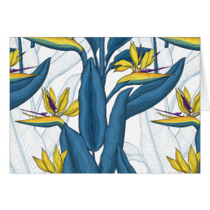 Oiseau de fleurs de paradis sur blanc