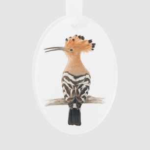 Oiseau de Hoopoe