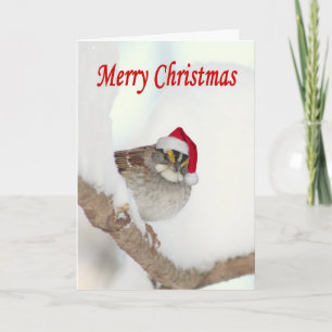 Oiseau de Joyeux Noël avec la carte de voeux de