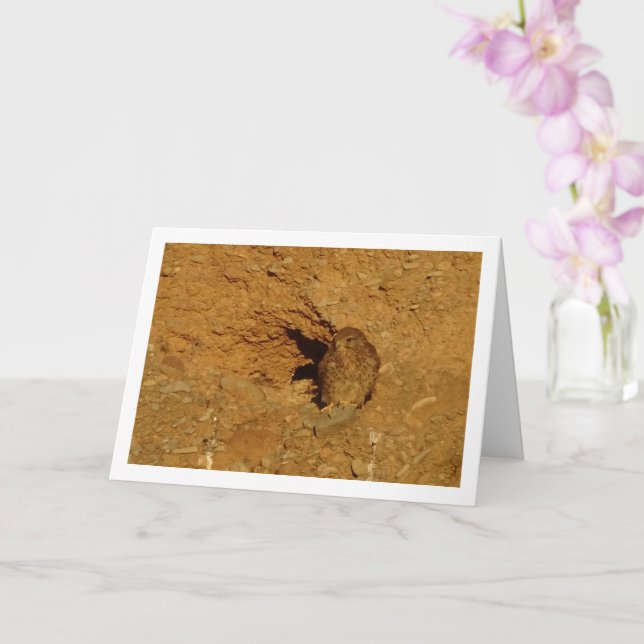 Oiseau de Kestrel, carte Falco Tinnunculus (Orchidée)