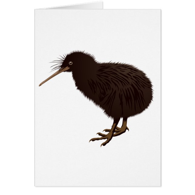 Oiseau de kiwi (Devant)