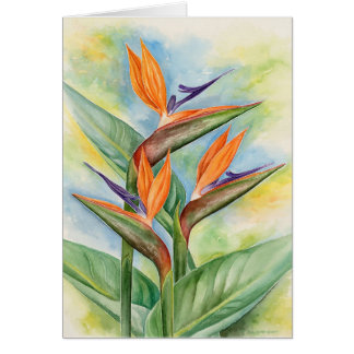 Oiseau de l'art de fleur de paradis - multi