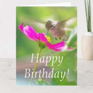 Oiseau de mer Floral Anniversaire Grande carte de 