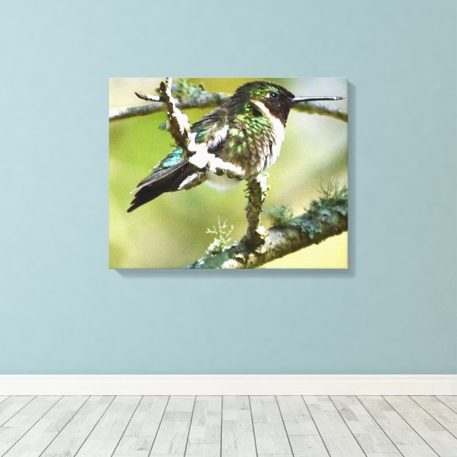 Oiseau de mer Photographie Décor mur toile (Insitu (Plancher de Bois))