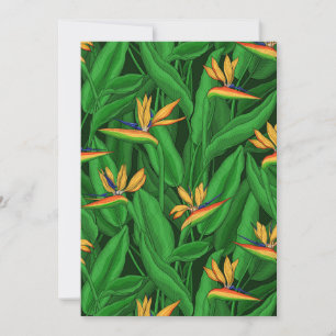 Oiseau de nuit du jardin du paradis