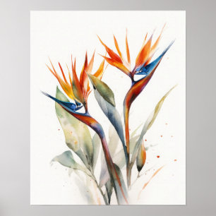 Oiseau De Paradis Fleurs Art Imprimer Poster