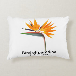 oiseau de paradis strelitzia coussin