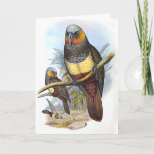 Oiseau de perroquet vintage PE_GC - Carte de note 