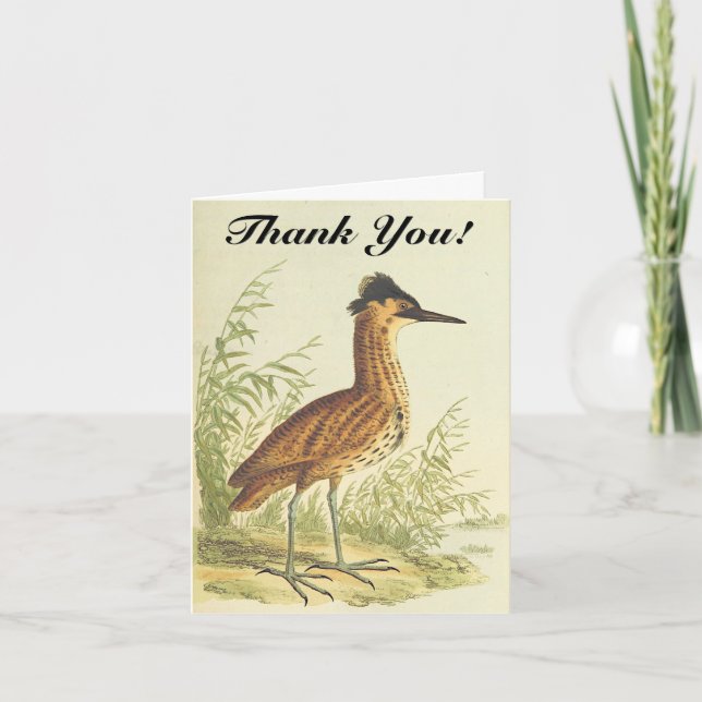Oiseau debout, aspect vintage, carte postale "Merc (Devant)