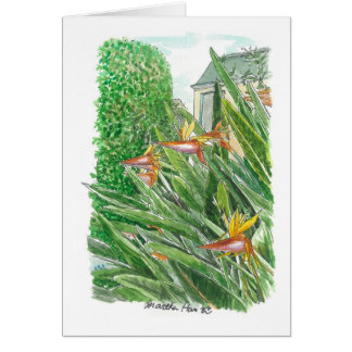 Oiseau des fleurs de paradis