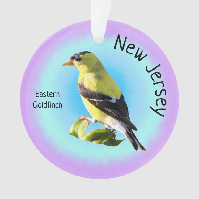 Oiseau d'État du New Jersey (devant)