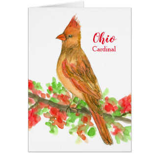 Oiseau d'État noir du cardinal de l'Ohio