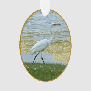 Oiseau du lac Egret