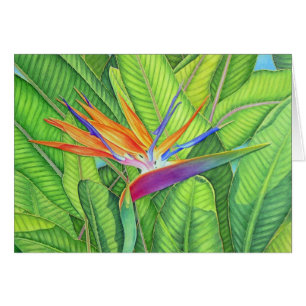Oiseau du paradis